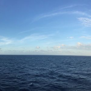 Meet your Posher, Supritha